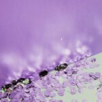 Sparkling purple confetti scattered on a lilac backdrop, creating a festive and playful scene.